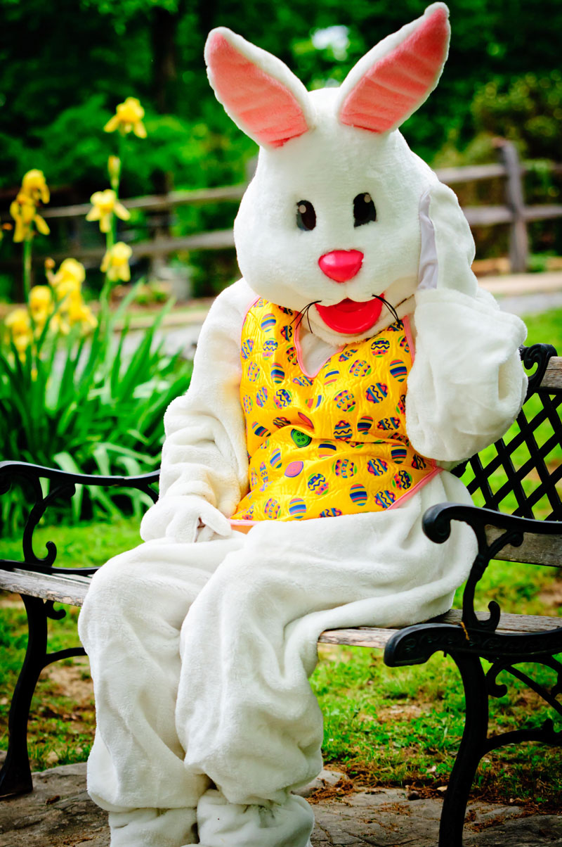 easter bunny carmichael